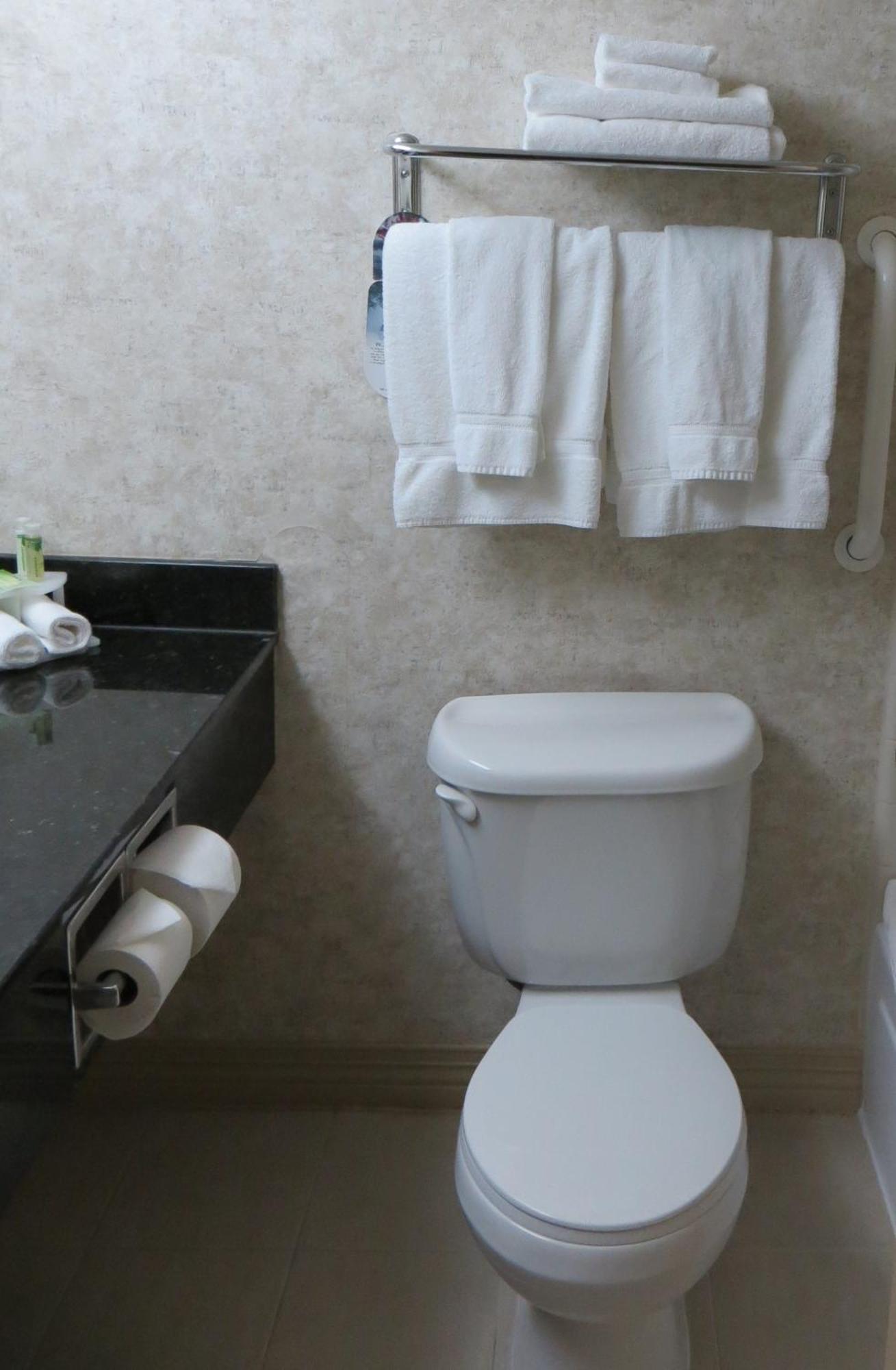Deluxe King Suite,1765332815:JPEG