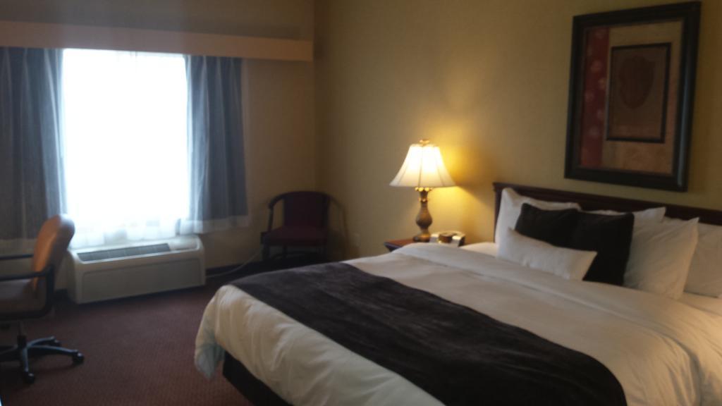 One-Bedroom King Suite,320596341:JPEG