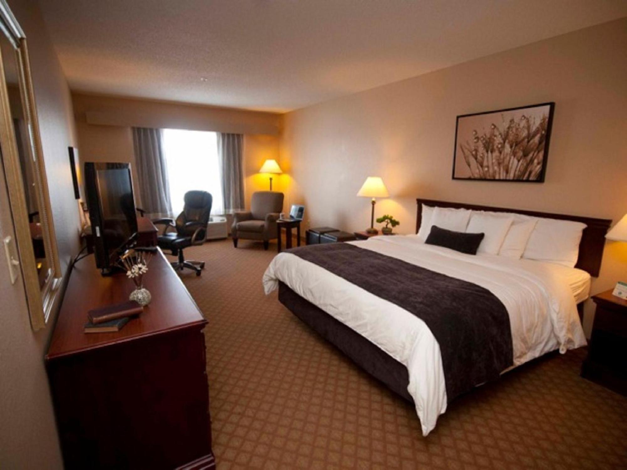 King Room,701958214:JPEG